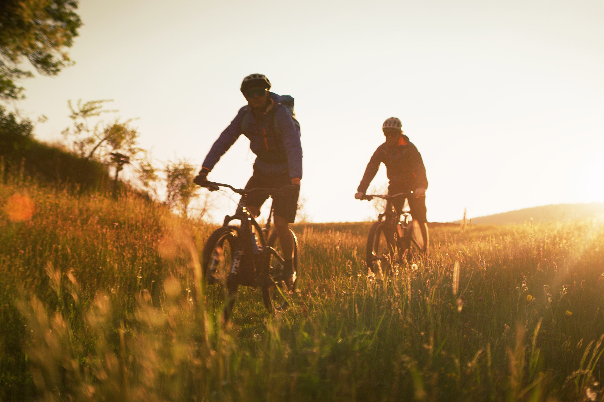 Mountain biking in early summer